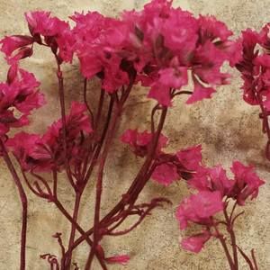 Meet your Posher, Paris